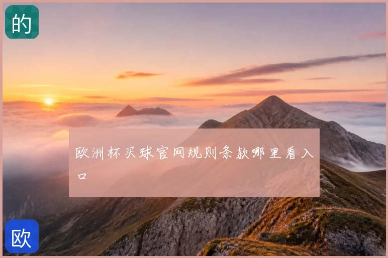 欧洲杯买球官网规则条款哪里看入口
