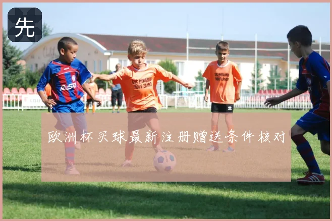 欧洲杯买球最新注册赠送条件核对